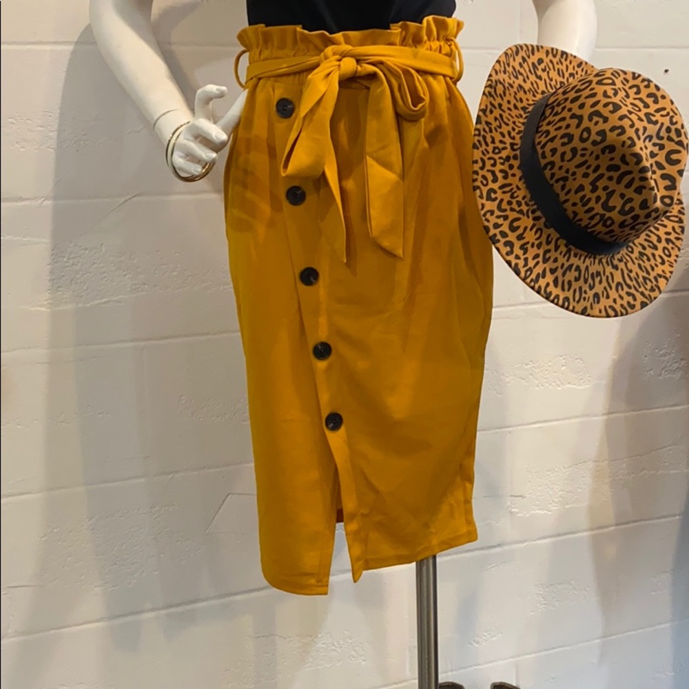 Cinch Fashion Skirt